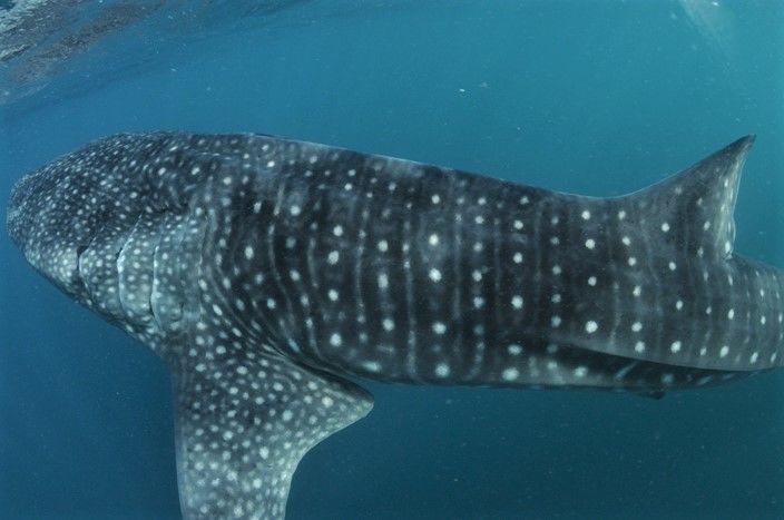 ed5912d3-57f8-4944-a0f2-3a1d1dca75d1