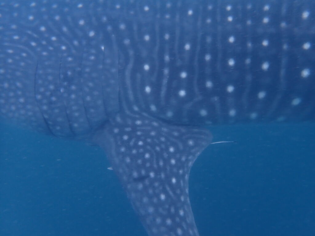 5d97df25-5889-4871-b98e-8fa023a0830f