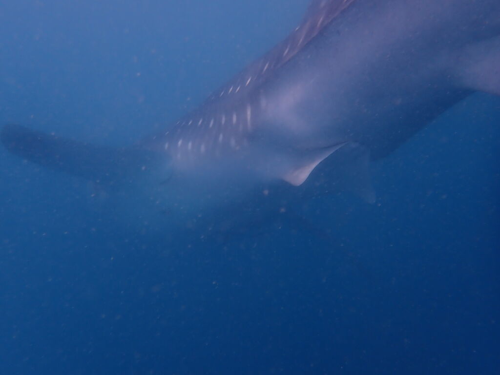 5d97df25-5889-4871-b98e-8fa023a0830f