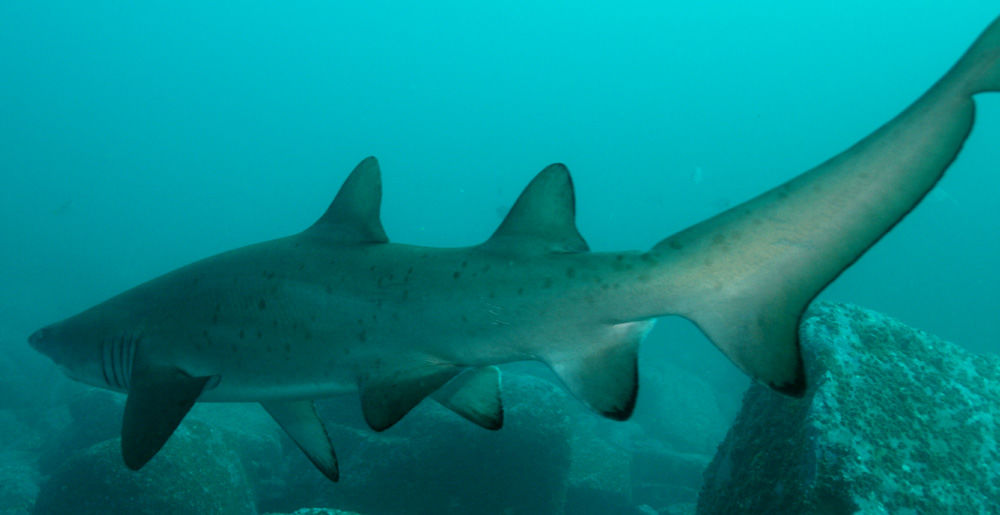 d59777b4-9399-4696-9fce-57b28639b76e