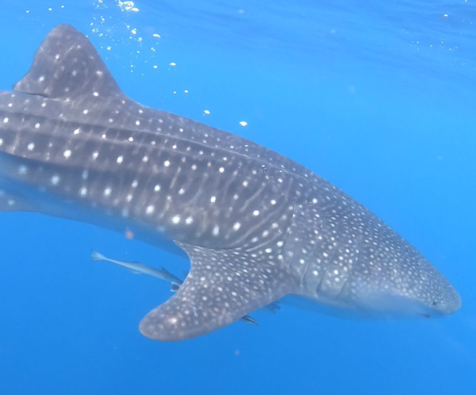 6d65b54d-84df-4691-af56-4dae63e829d9