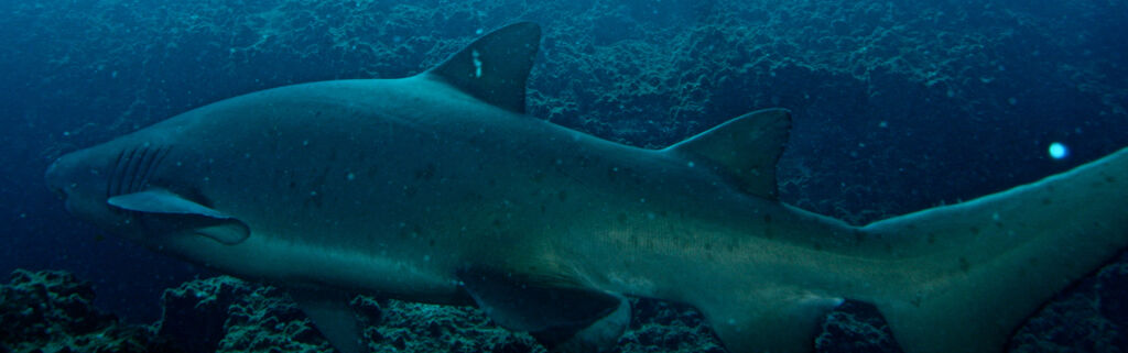 95329c18-0690-4ccb-8777-f7e293bdfee3