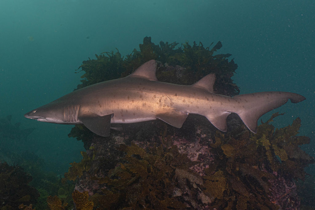 c6517d8b-d40f-43f5-9e12-4acad39fd069