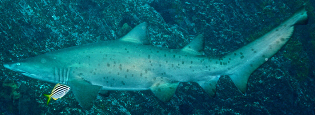 c86d29ae-6bb5-4418-8963-010d4445333f