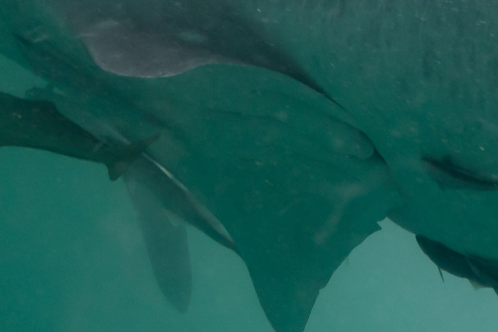 2c9081aa-ee5d-466d-a24b-d376ef642cc0