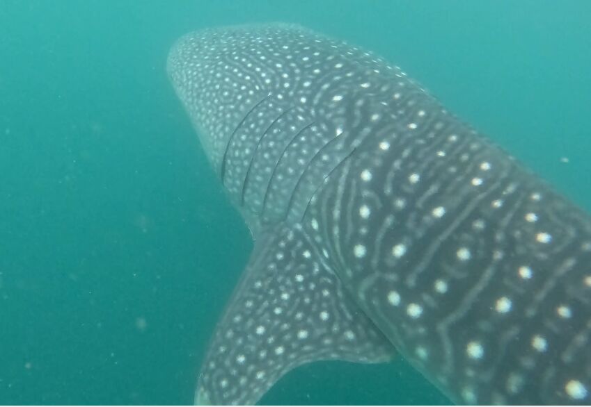 28c07843-646e-4ed9-8dc7-c46cb75661a6