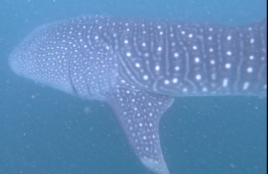 28c07843-646e-4ed9-8dc7-c46cb75661a6