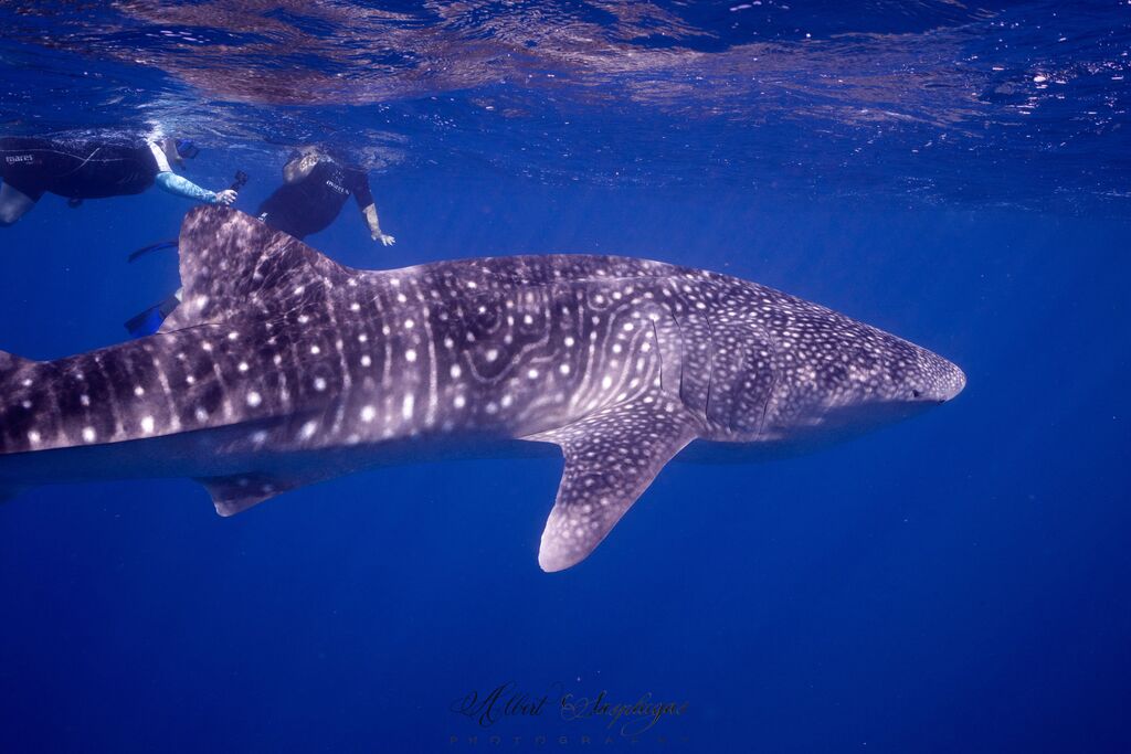 1f300775-1862-469d-a100-bf14eaf21411