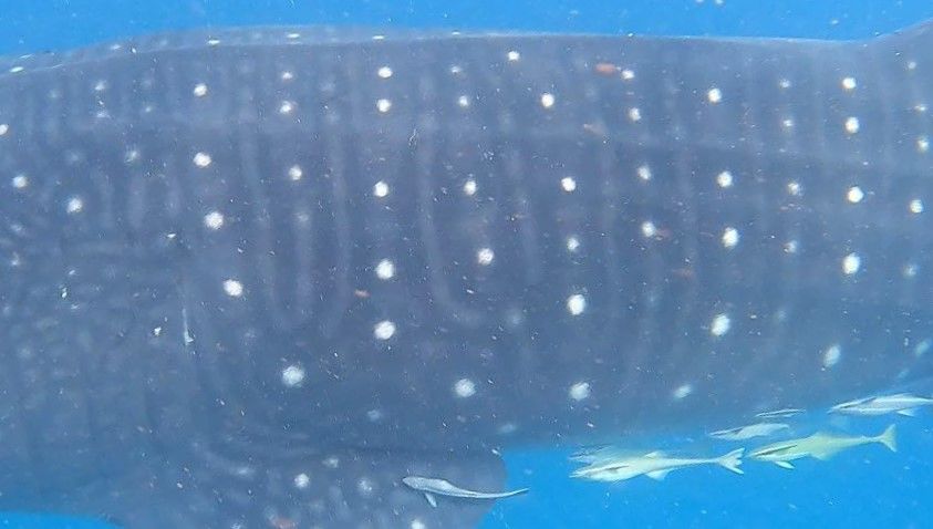 c945d85b-f806-4148-999d-b56fcfb112a2