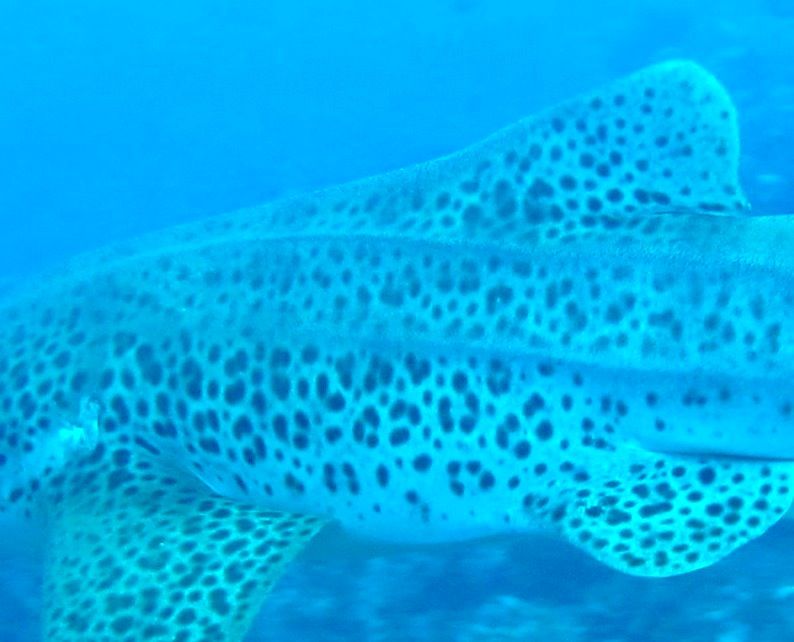 6609bca7-775f-40cf-9d1c-033cbee0f734