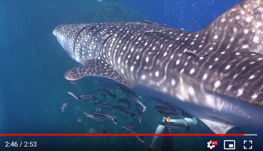 a98cc636-e182-4ab2-b93e-85b7980b9666