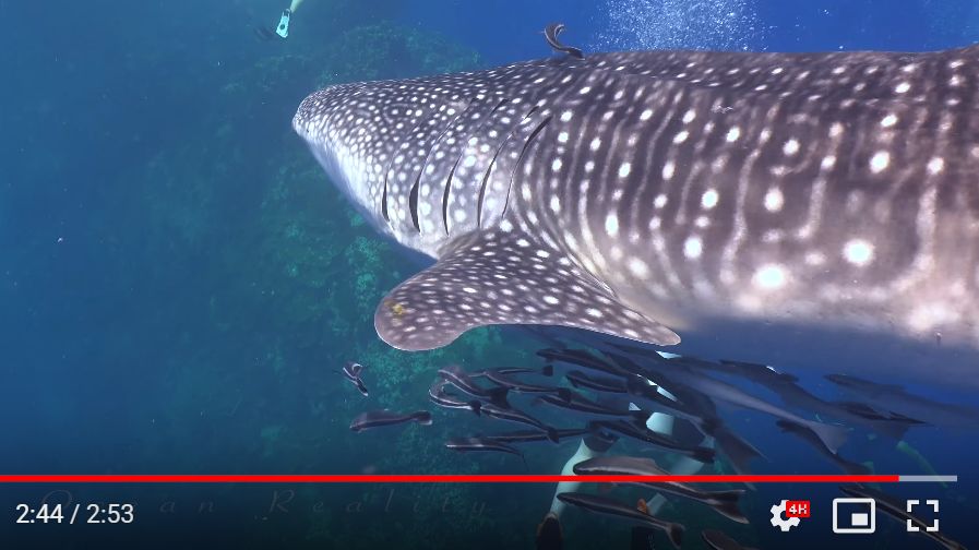 a98cc636-e182-4ab2-b93e-85b7980b9666