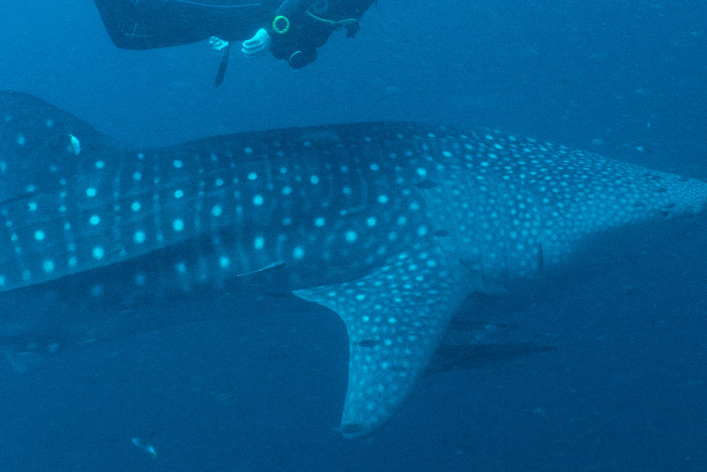 6d9c0cec-77f0-45c1-9daf-6b5b444d529d