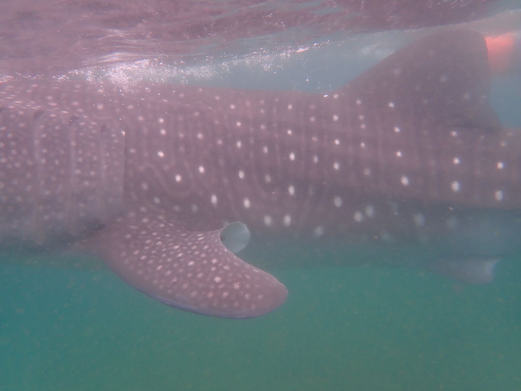 030b17f2-5b22-4ea2-a354-4f536a89ee59