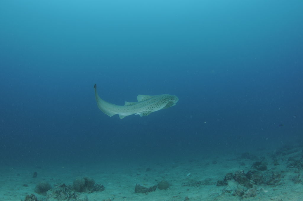 484bf732-8028-4fee-8289-253daac651fe