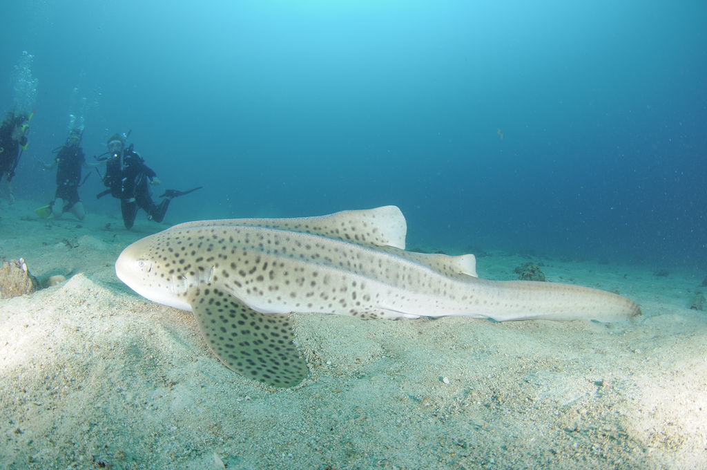 484bf732-8028-4fee-8289-253daac651fe