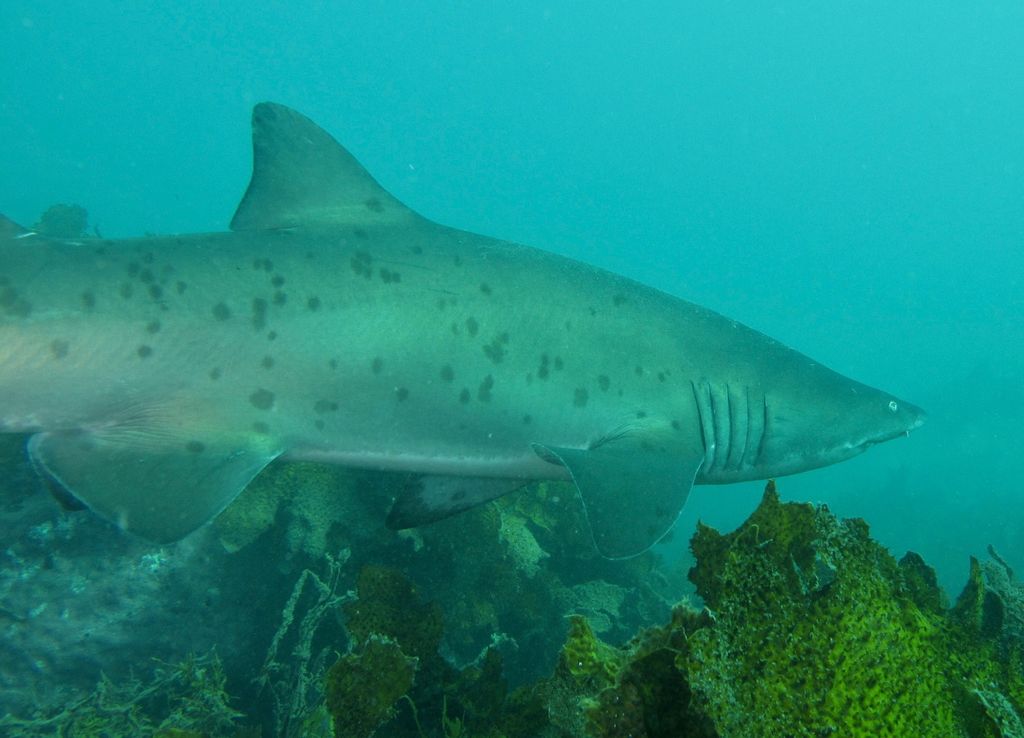 7799e8d7-9d61-413b-9715-19e6a0c8d844