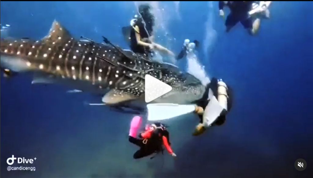 3b550c31-3152-4462-aaa8-76f44a35848d