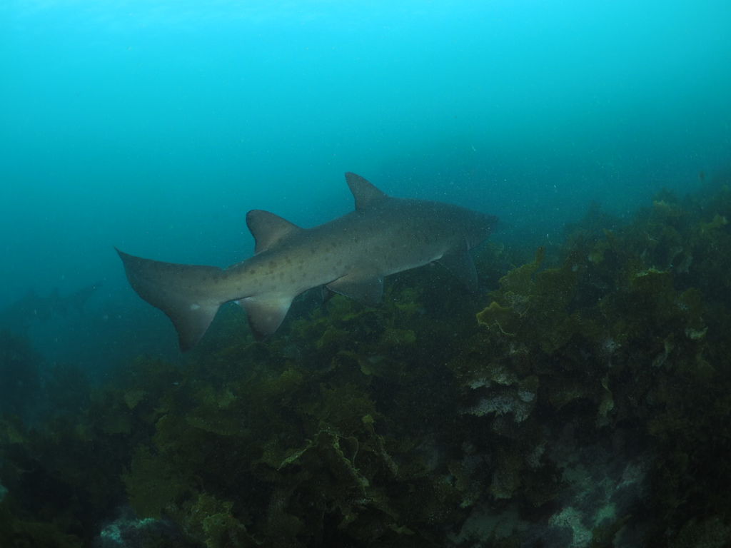 29149c54-b74d-4827-91e2-8a70d8e1d810