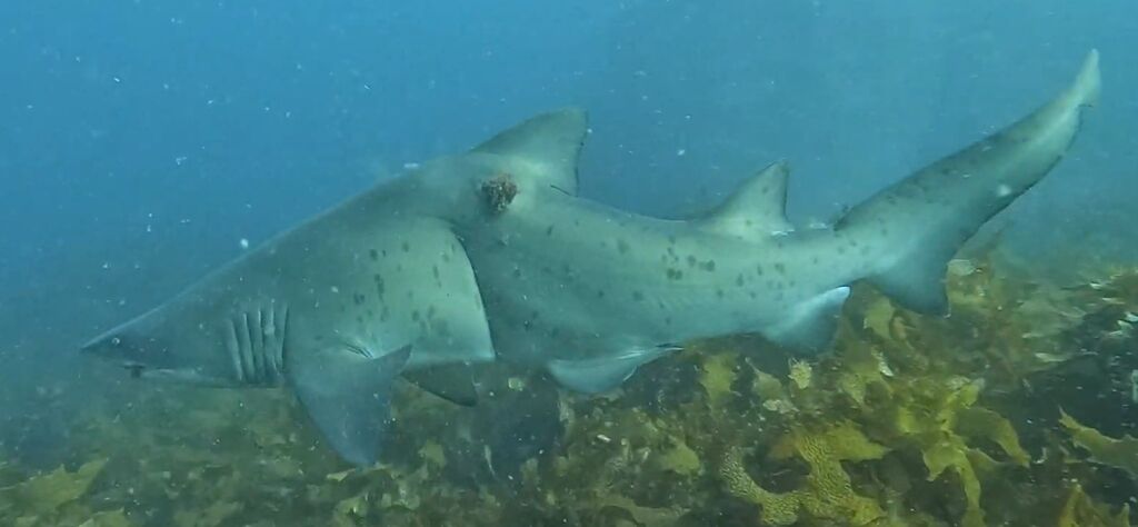 404c0137-ed1c-4fc9-ae84-8ef1ebfcfb3c