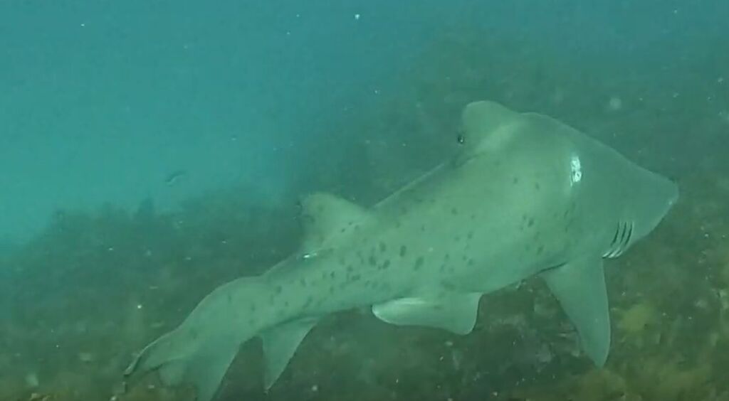 404c0137-ed1c-4fc9-ae84-8ef1ebfcfb3c