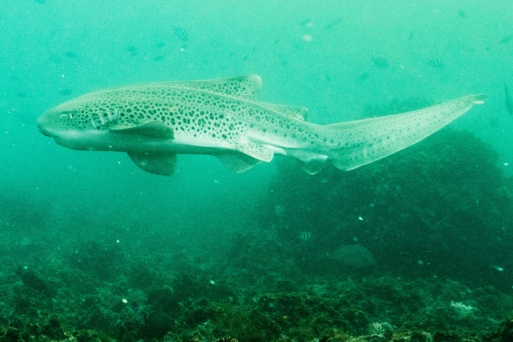 6ef545cc-4576-4782-ae25-def0f5323c5c