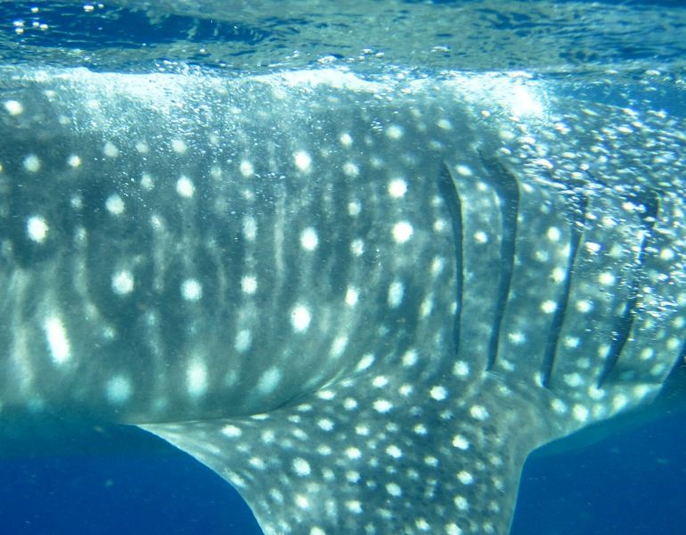 aba8887a-f23c-4703-a725-db83afbecc87