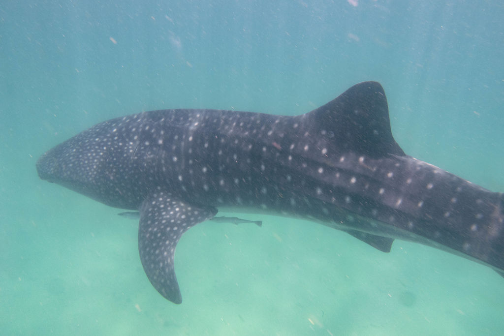 7069eea8-09ac-4fce-98be-bcb663d7a8fb