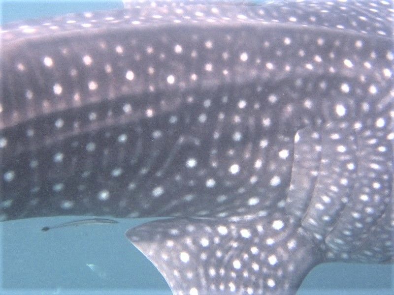 9f3347f1-ab52-4b96-9ec3-9309fac2e24a