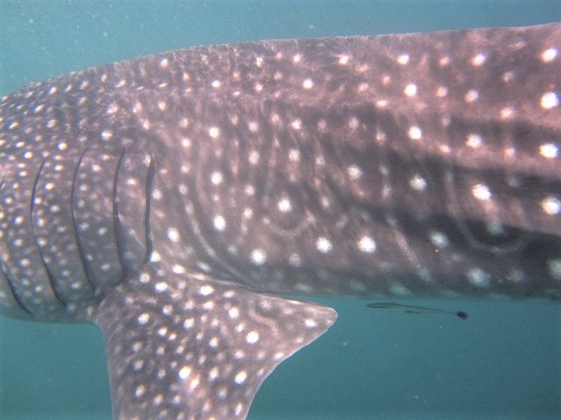 9f3347f1-ab52-4b96-9ec3-9309fac2e24a