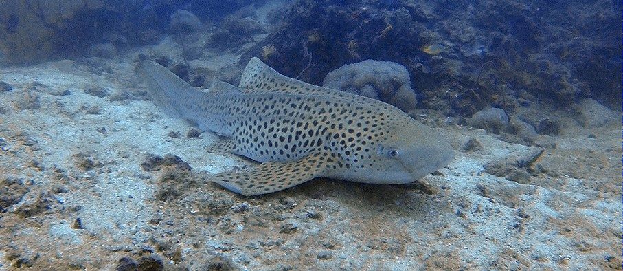 0e986ae3-2ee3-4636-93a6-4aa15d0eac54