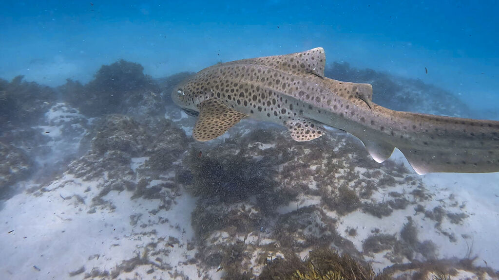 75c7db4b-f9cb-40e9-afeb-396ce1a42bdf