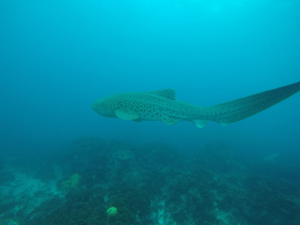 17151356-a4e7-4731-9fd0-2fc882367783