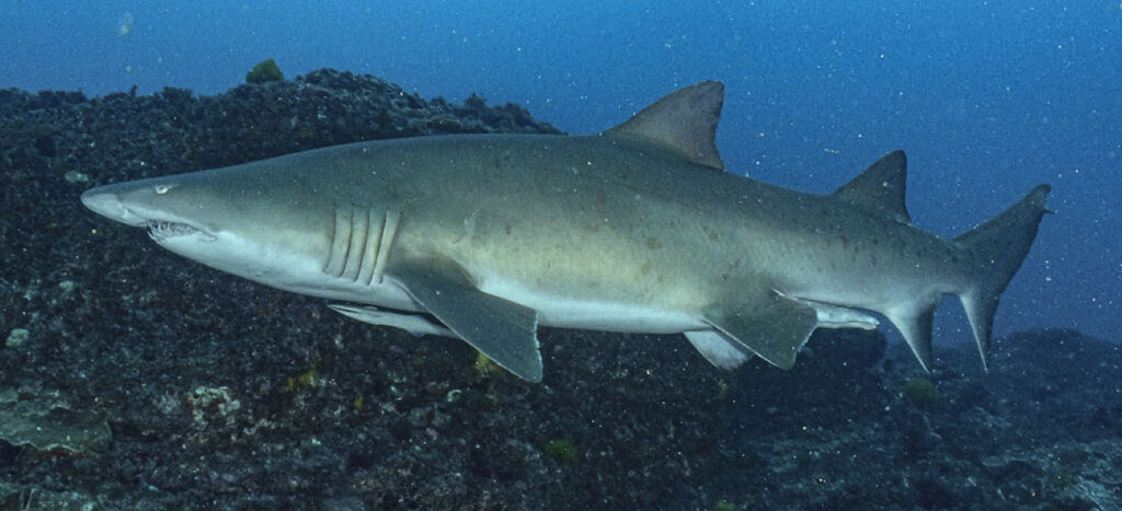 3e2e5943-6659-4357-9e8d-5d33416bdc7a