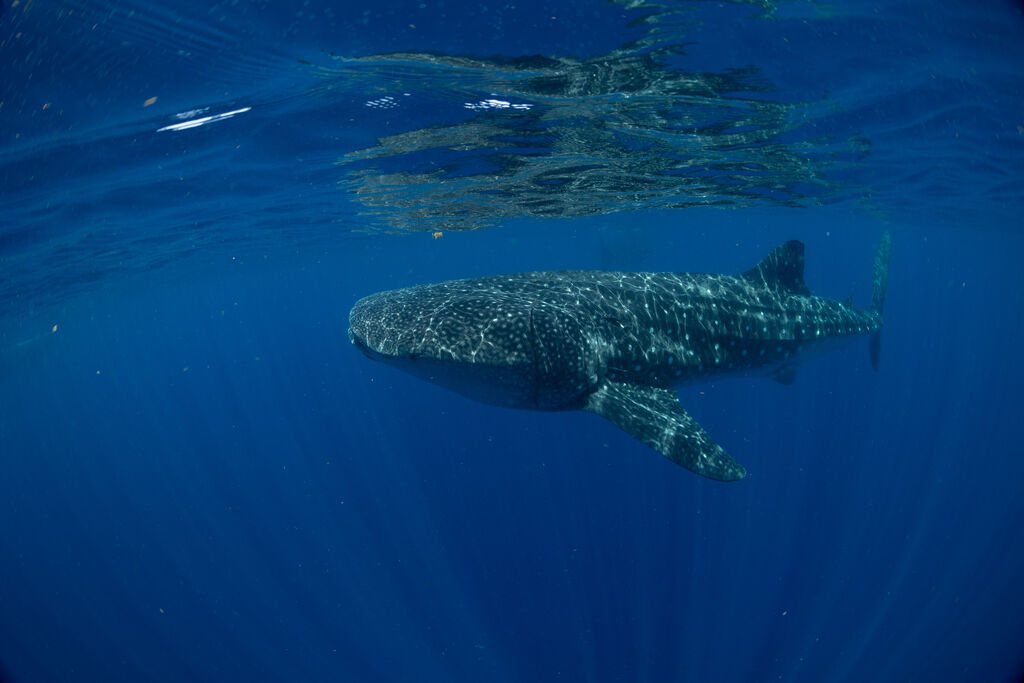 12452ad6-eb18-4b13-88cd-e97da5f4c2ef