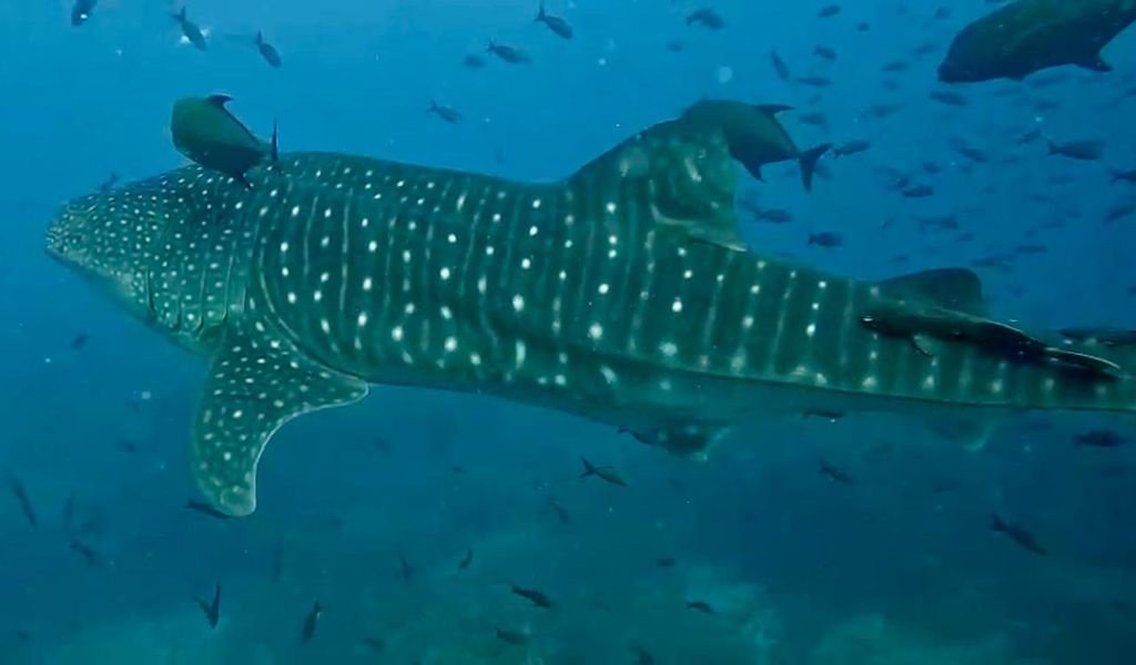 2af1c6da-9579-41a1-90e9-6ea9b3412419