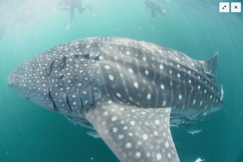 e86bca07-2ac6-4545-b0d5-b4ad01a0906e