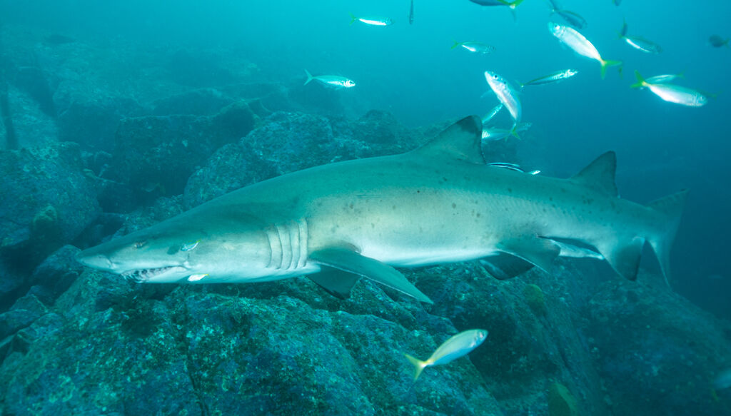 ac3bbf43-49e7-4975-a540-b23d210c315f