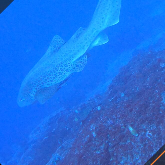 85afc798-099d-45aa-b89b-6cda1365e2da