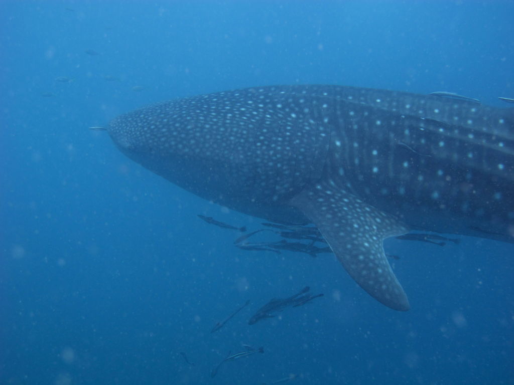 15fd77c6-1003-41b2-b63d-c720da9878a2