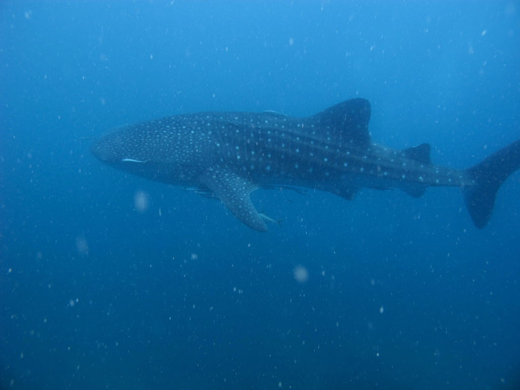 15fd77c6-1003-41b2-b63d-c720da9878a2