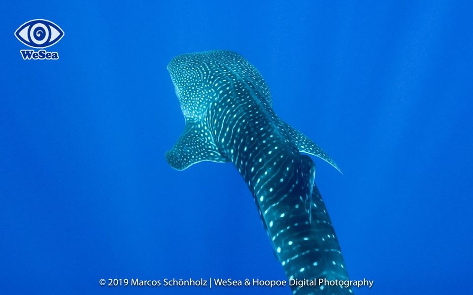 50e55766-d47e-463d-82e5-b137a047edf6