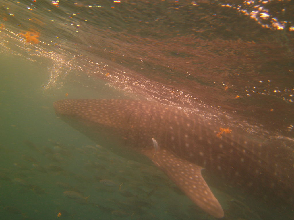 64c98d7e-bcd4-426e-af7f-cdcc0a9bf69d