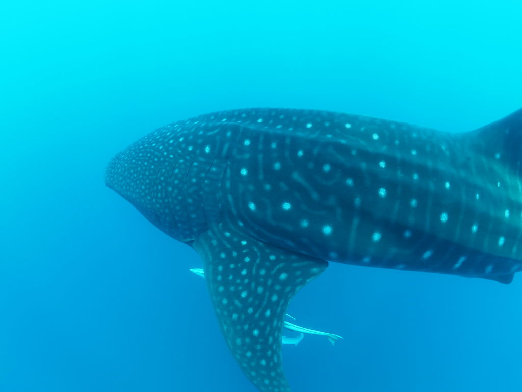 d3fd5ffd-82f3-401e-943f-7dfb1c308182