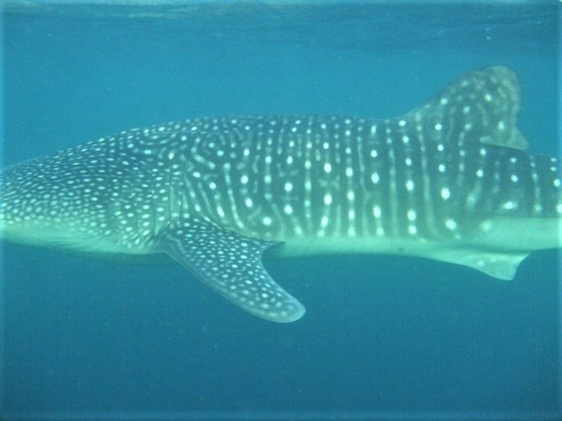 99e7b111-8f9d-42ae-bf86-b9fd3b8f7875