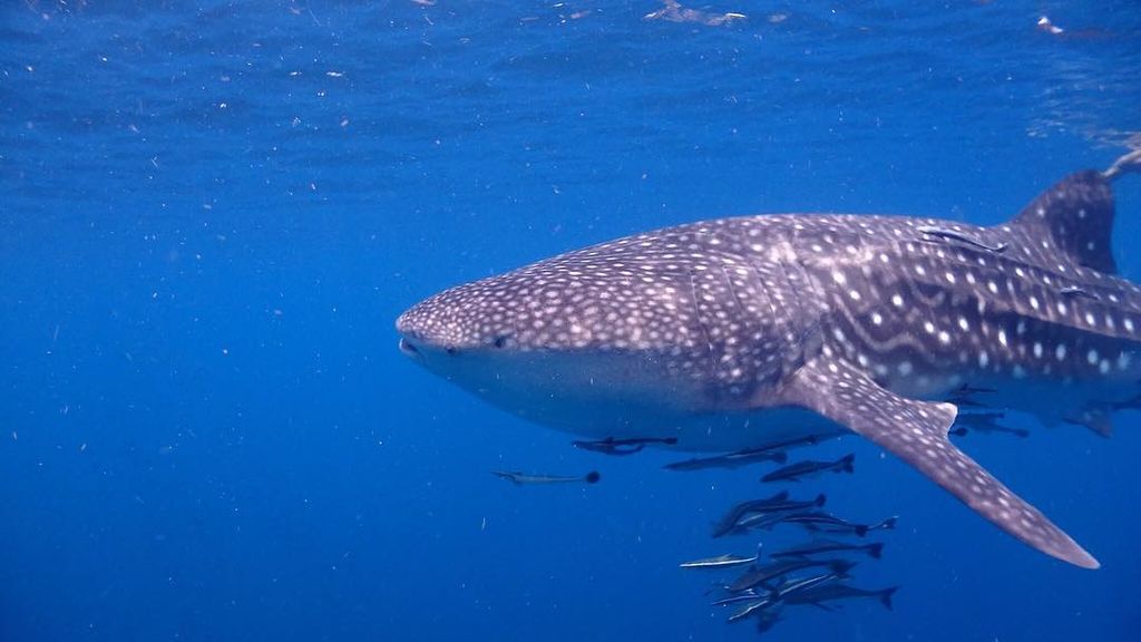 6cc79660-2b7c-4c5b-8e2a-0d644f9637a5