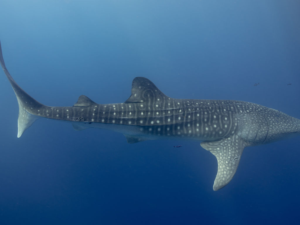 5718cb49-7f0b-4723-a459-16c79005974a