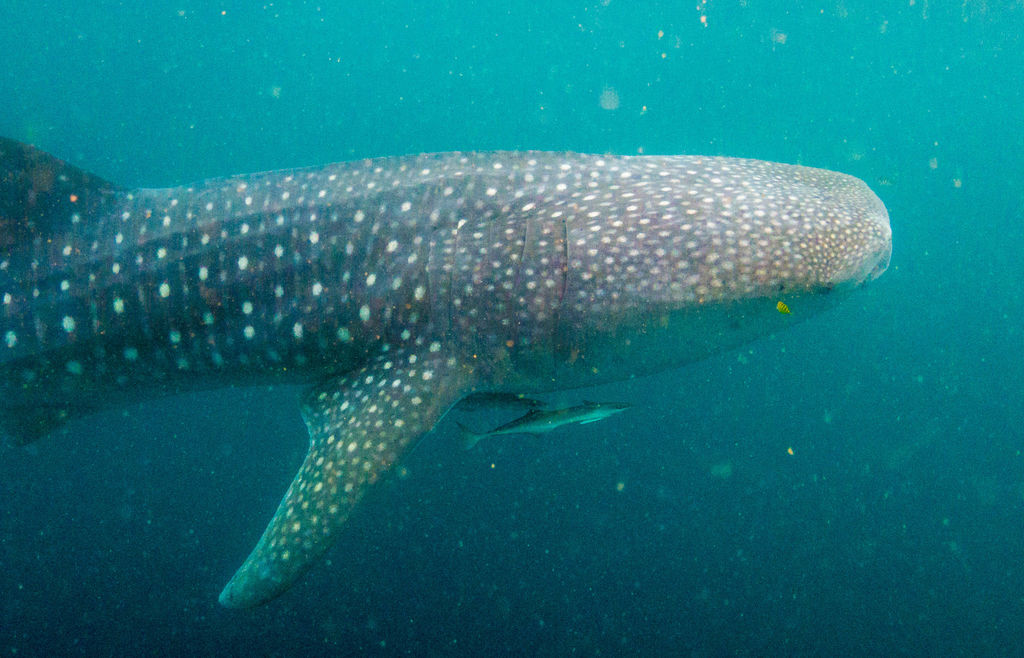 210f7503-c67f-4bee-afe7-e63a18025078