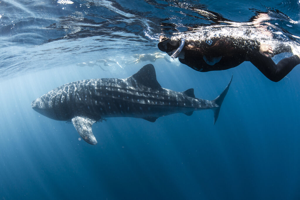 632b304f-f188-4a8b-92d9-7b1a2cff8822