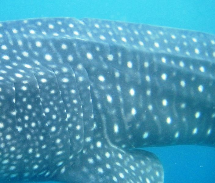 225f84d2-e142-4915-a9d5-8d08a88988ef